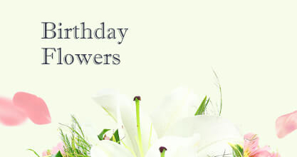 Birthday Flowers Colney Hatch