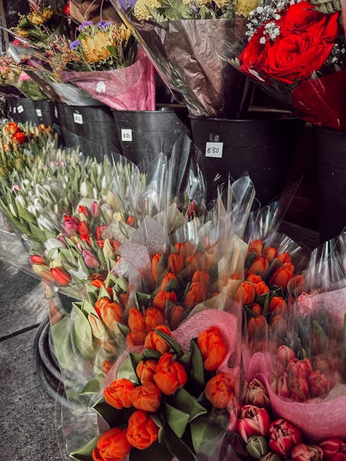 An assortment of fresh flower bouquets displayed outdoors, featuring vibrant orange tulips and pink tulips wrapped in clear cellophane, with some bouquet stems visible and lush green foliage. Behind,
